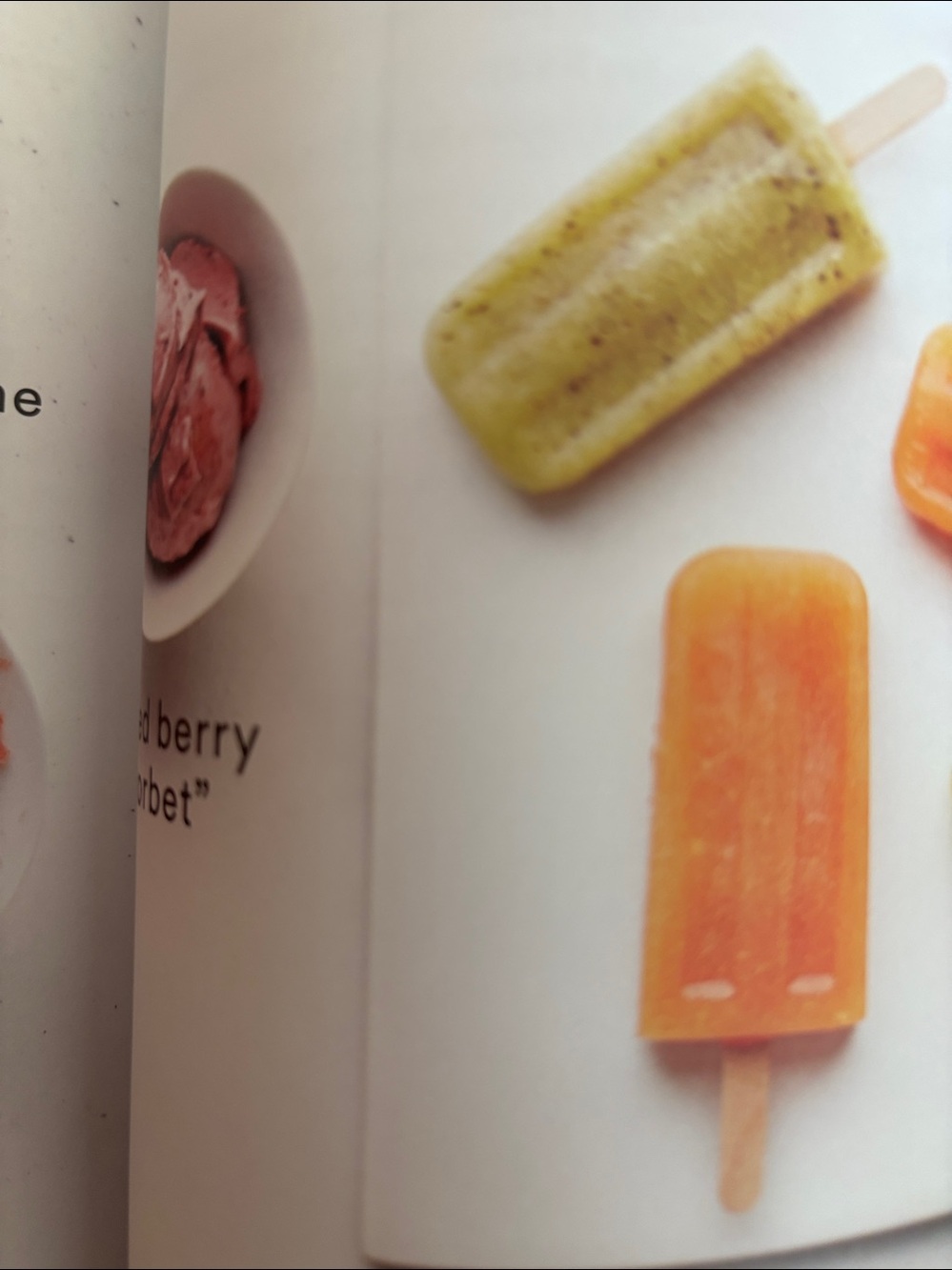 Martha Stewart Clean Slate Cookbook - White, Green, Pink - Picture 11 of 13